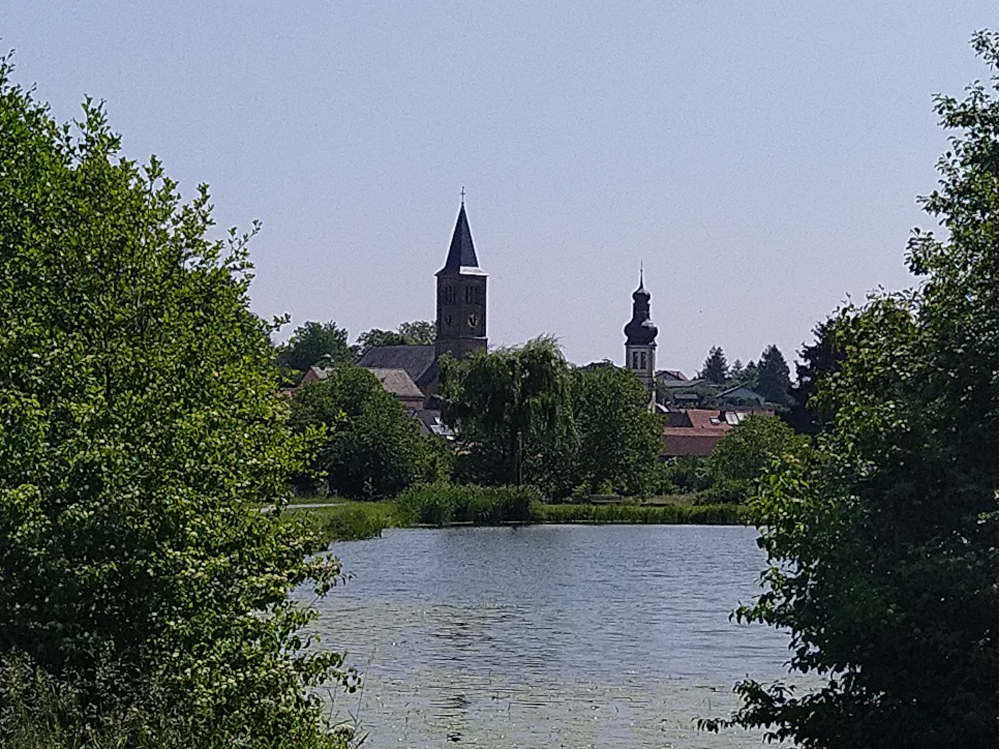 Elsenz Aussicht
